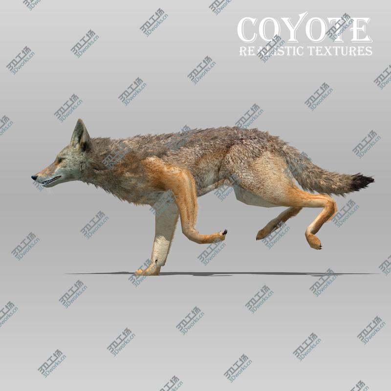 images/goods_img/2021040231/3D Coyote Animated model/1.jpg